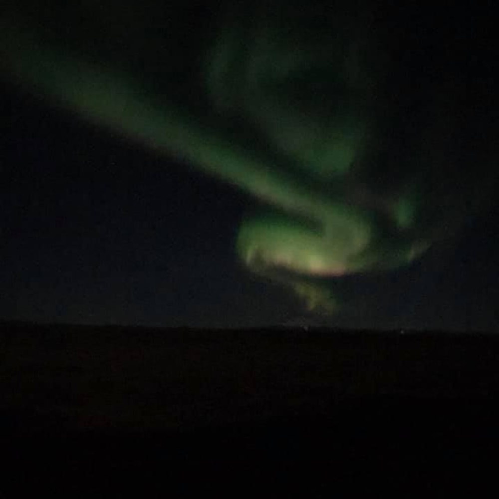 Meet your Posher, Janet